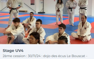 STAGE UV4 (examen ceinture noire)